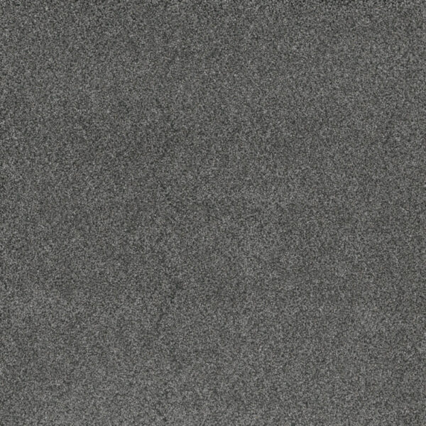 Dreamweaver Carpet Stunning Zinc Carpet 4765_959