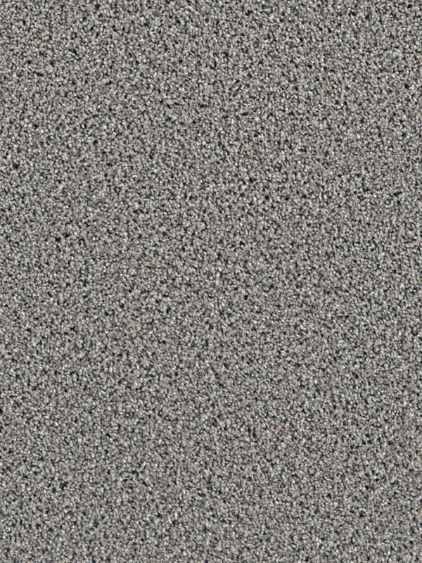 Dreamweaver Carpet Dazzling Mocha Carpet 4775_775