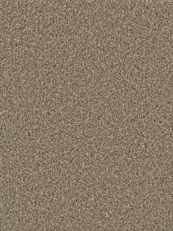 Dreamweaver Carpet Dazzling Acorn Carpet 4775_858