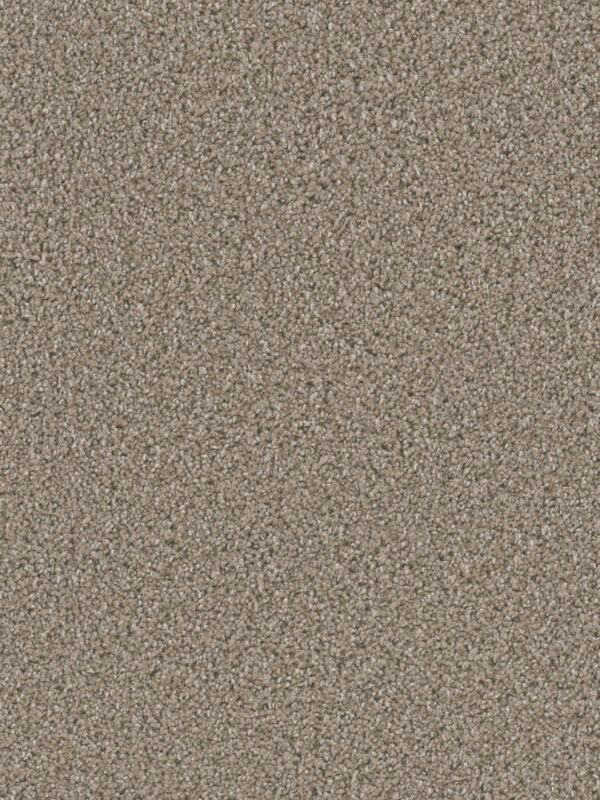 Dreamweaver Carpet Dazzling Tumbleweed Carpet 4775_883
