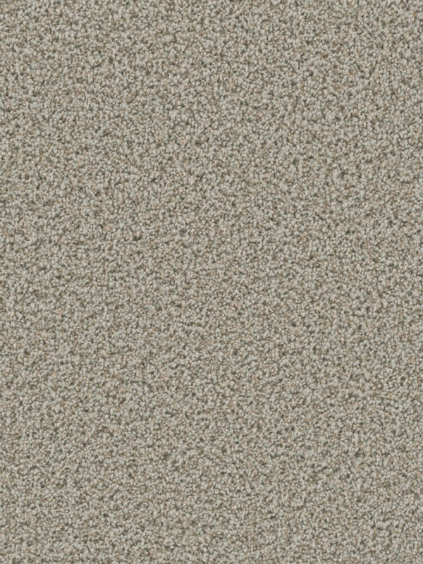 Dreamweaver Carpet Dazzling Stucco Carpet 4775_905