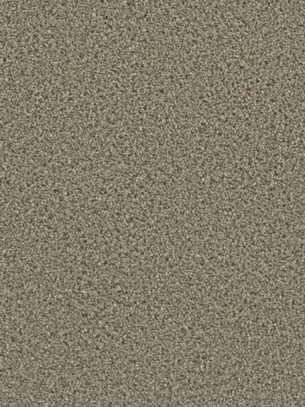 Dreamweaver Carpet Dazzling Ash Carpet 4775_945