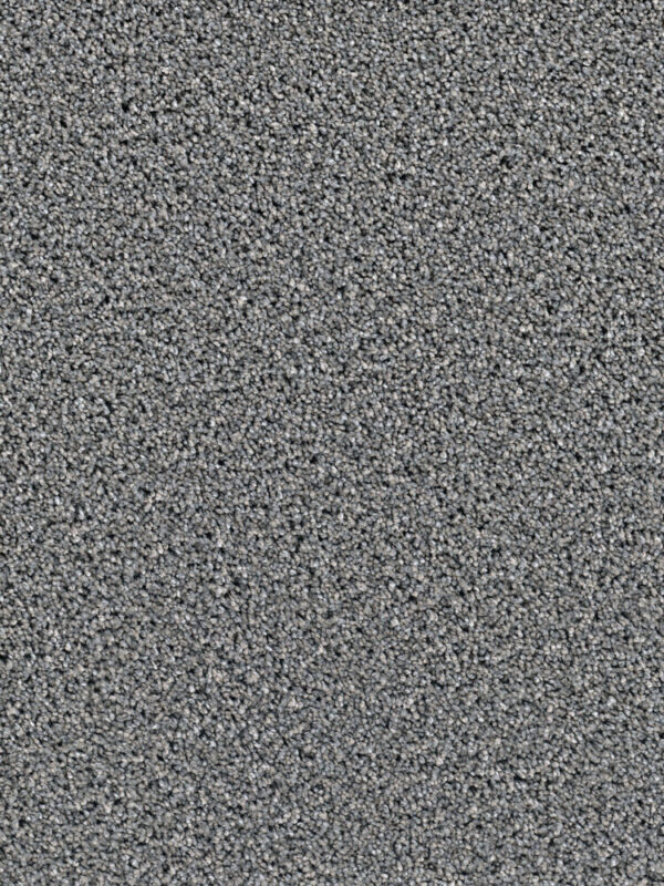 Dreamweaver Carpet Dazzling Orion Carpet 4775_955
