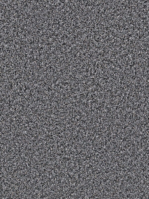 Dreamweaver Carpet Dazzling Zinc Carpet 4775_959