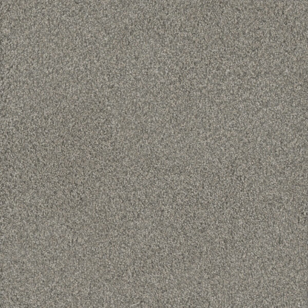 Dreamweaver Carpet No Limits II Dewberry Carpet 9346_5082