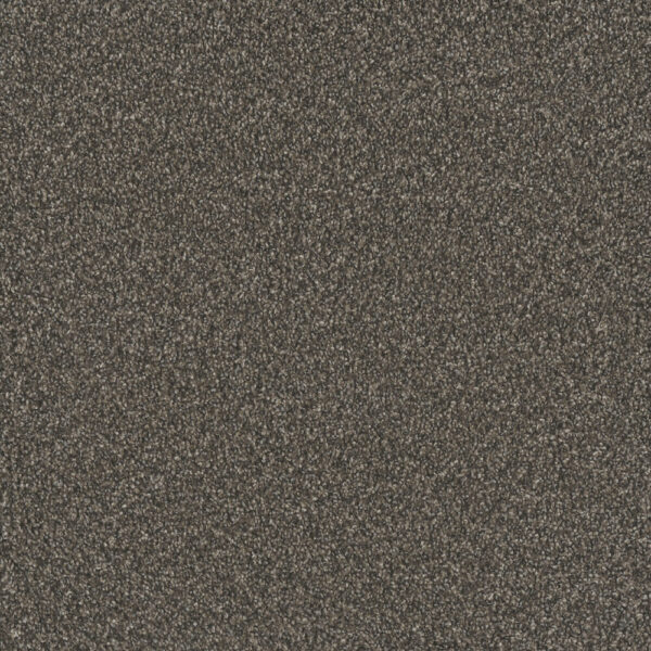 Dreamweaver Carpet No Limits II Lava Clay Carpet 9346_5113