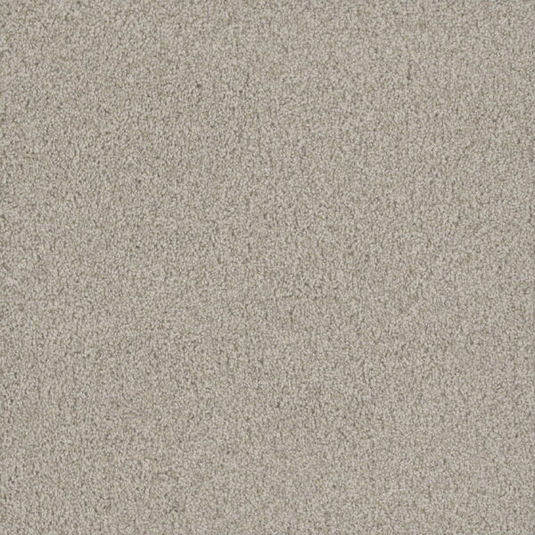 Dreamweaver Carpet No Limits II Aspen Glow Carpet 9346_5165