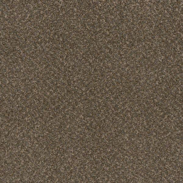 Dreamweaver Carpet Toast Of The Town Urbane Carpet 5315_264