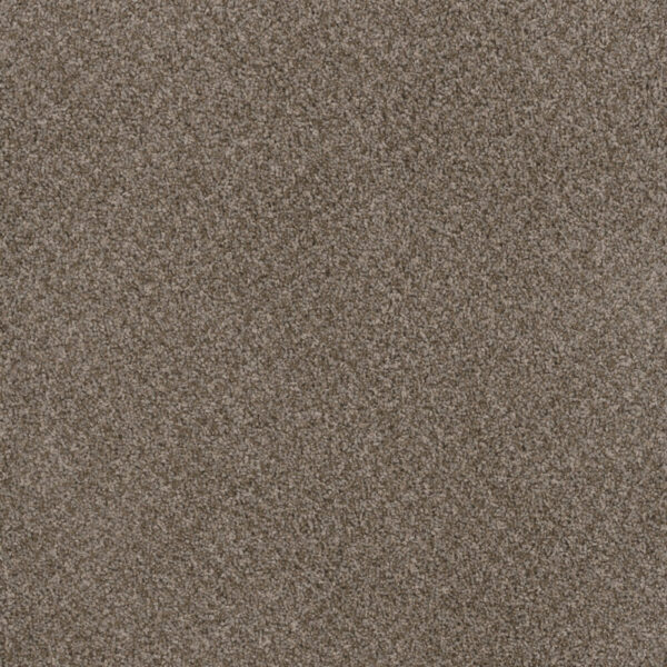 Dreamweaver Carpet Toast Of The Town English Stone Carpet 5315_276