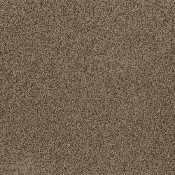Dreamweaver Carpet Toast Of The Town Vallum Carpet 5315_531