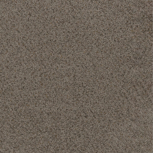 Dreamweaver Carpet Toast Of The Town Rugged Suede Carpet 5315_808