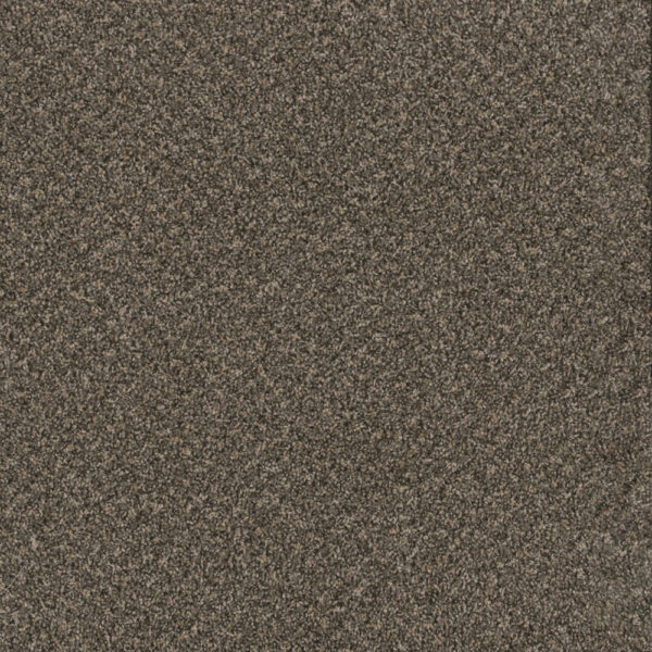 Dreamweaver Carpet Toast Of The Town Wrought Iron Carpet 5315_872