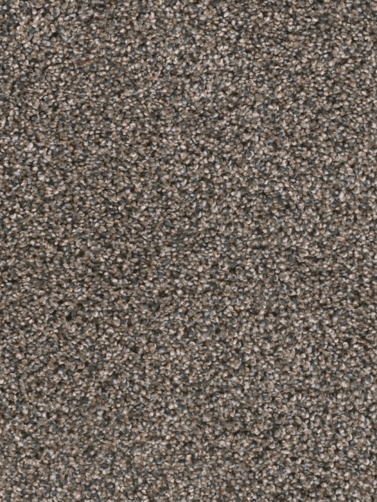 Dreamweaver Carpet Reflections I Imperial Sable Carpet 5348_134