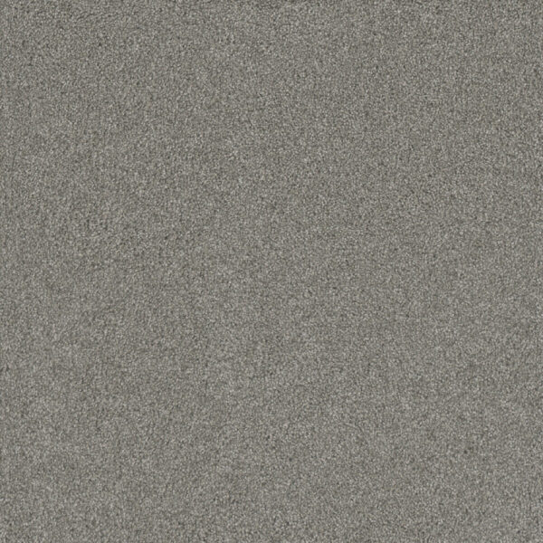 Dreamweaver Carpet Silver Lining III Alto Carpet 6033_2820