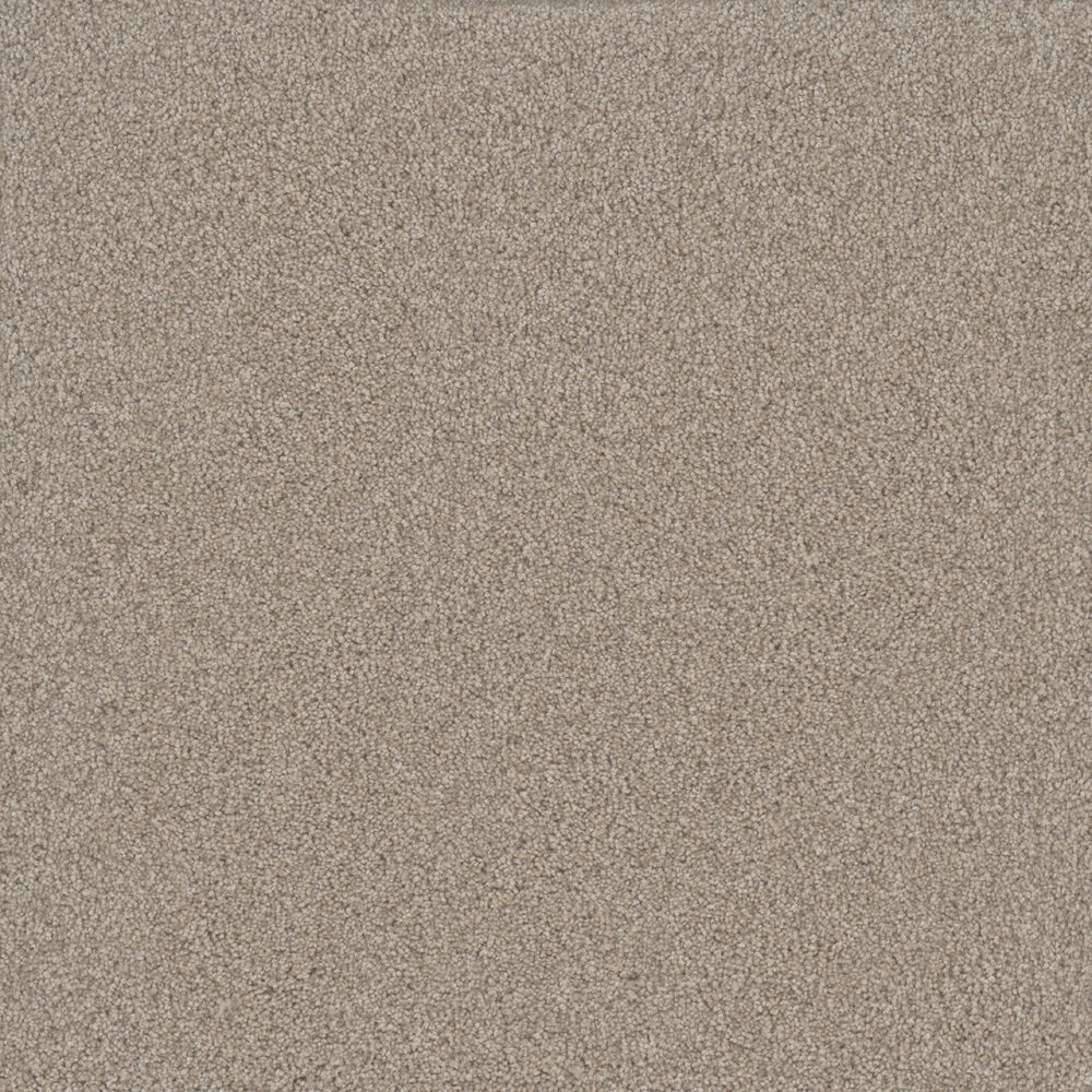 Dreamweaver Carpet Silver Lining III Nimbus Carpet 6033_2838