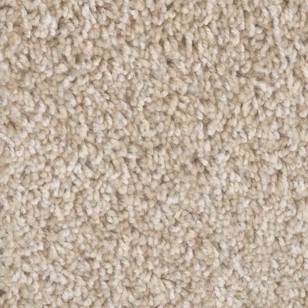 Dreamweaver Carpet West Brow Crystal Coast Carpet 6035_179