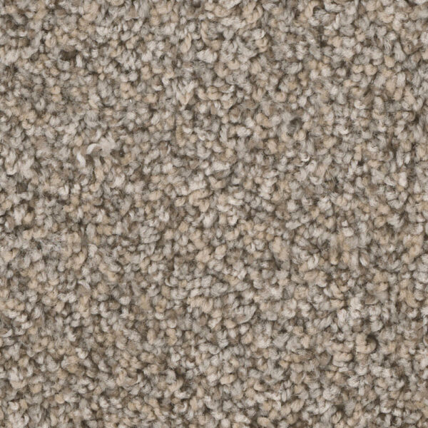 Dreamweaver Carpet West Brow Canyon Bluff Carpet 6035_243