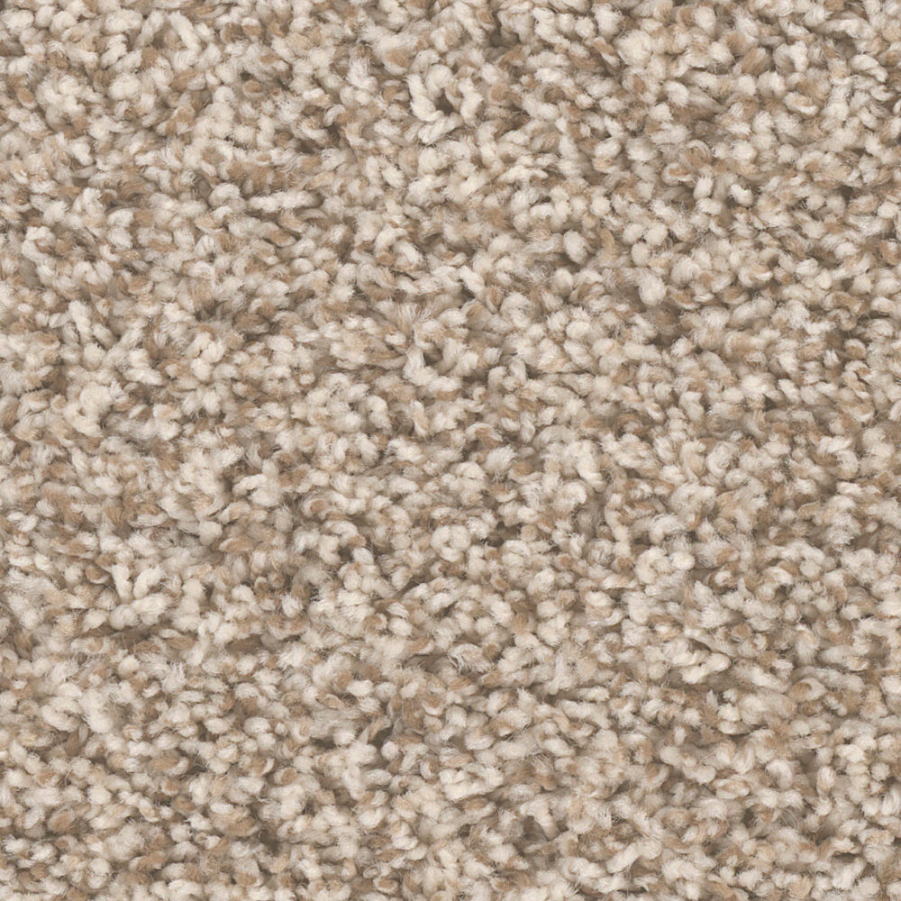 Dreamweaver Carpet West Brow Agate Carpet 6035_513