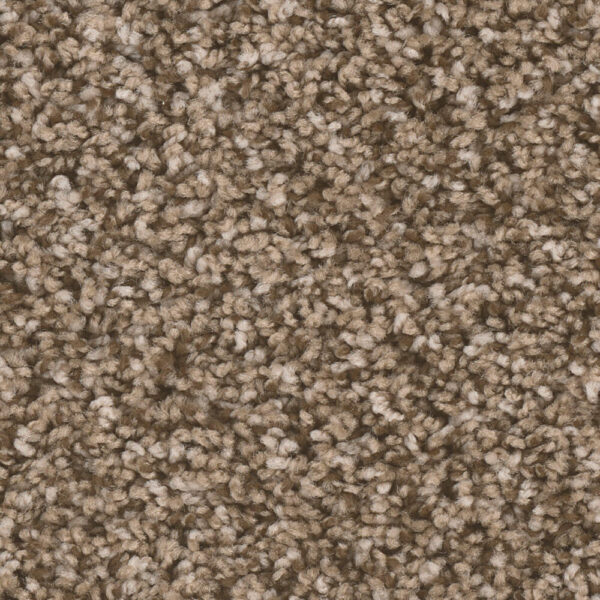 Dreamweaver Carpet West Brow Bramble Carpet 6035_845