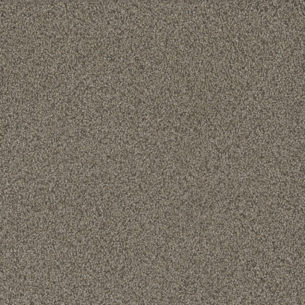 Dreamweaver Carpet No Limits II Madura Sands Carpet 9346_6117