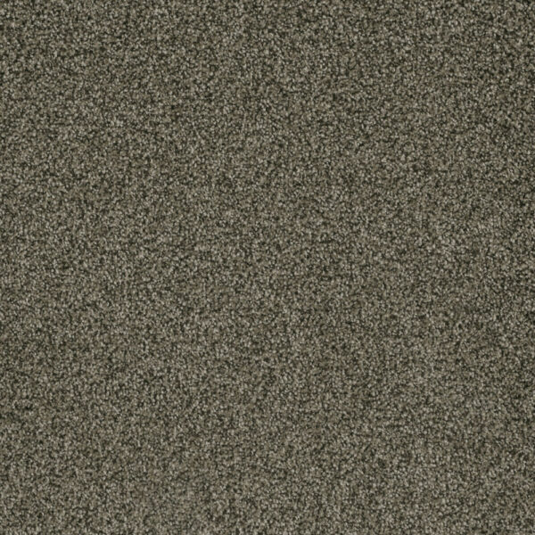 Dreamweaver Carpet Brazen II Smokestack Carpet 6260_239