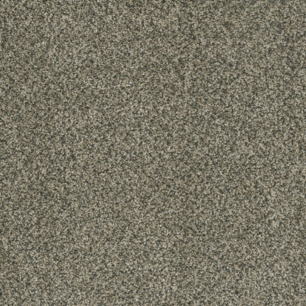 Dreamweaver Carpet Brazen II Pacifico Carpet 6260_542