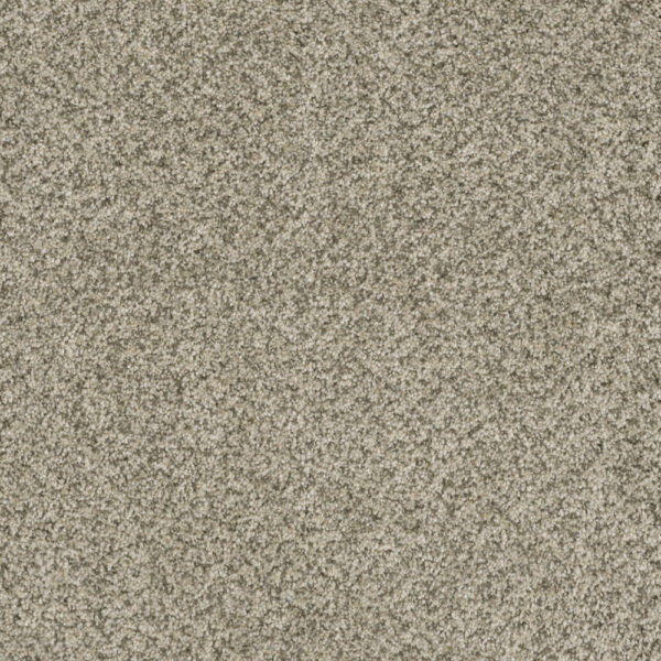 Dreamweaver Carpet Brazen II Acadia Carpet 6260_596