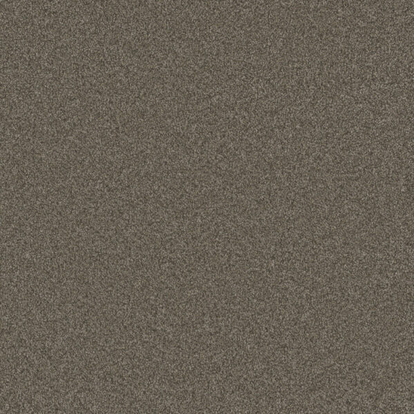 Dreamweaver Carpet Blazer I Casa Marina Carpet 6340_4032
