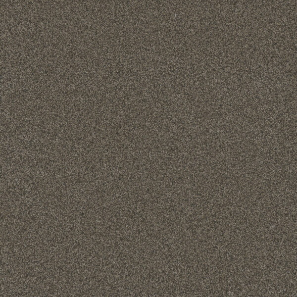 Dreamweaver Carpet Blazer III French Roast Carpet 6375_5133