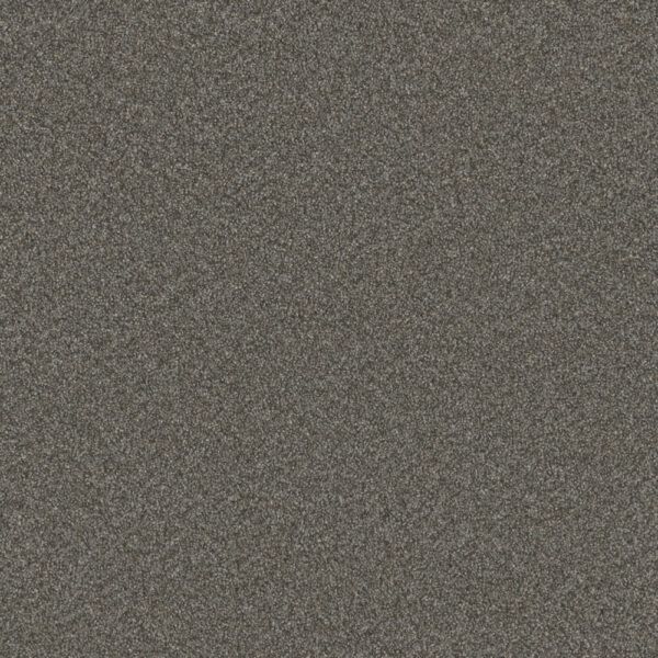 Dreamweaver Carpet Blazer II Meadow Dance Carpet 6360_6049