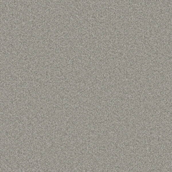 Dreamweaver Carpet Blazer III Polar Cap Carpet 6375_6057