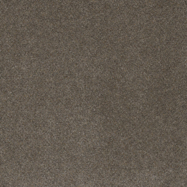 Dreamweaver Carpet Serene I Mulberry Carpet 7140_2217