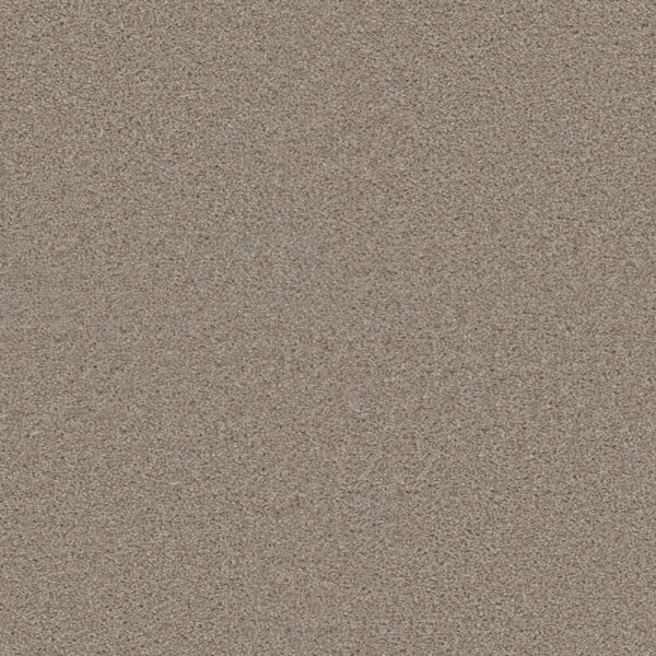 Dreamweaver Carpet Exceptional II Cameo Carpet 7404_174
