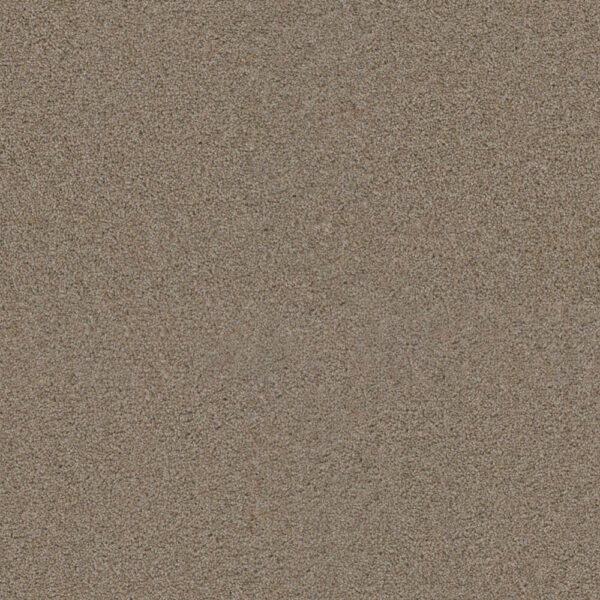 Dreamweaver Carpet Exceptional II Iced Coffee Carpet 7404_373