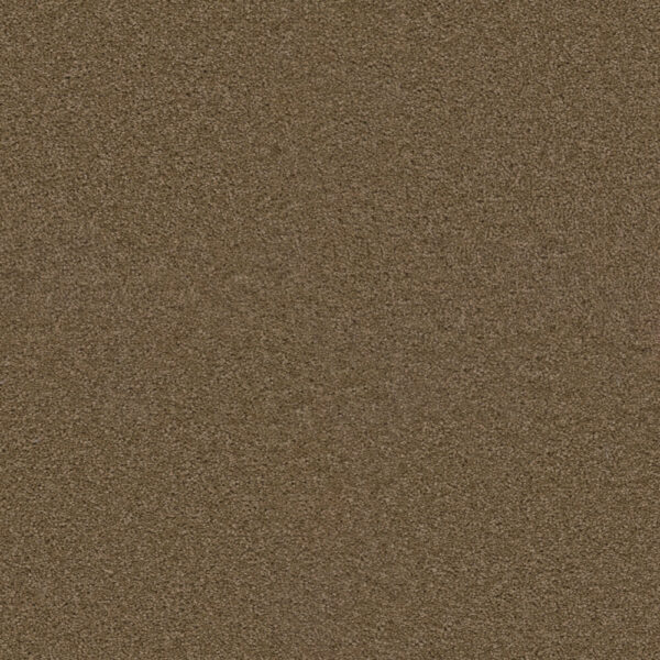 Dreamweaver Carpet Exceptional II Sable Carpet 7404_510