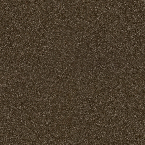 Dreamweaver Carpet Exceptional II Black Walnut Carpet 7404_540