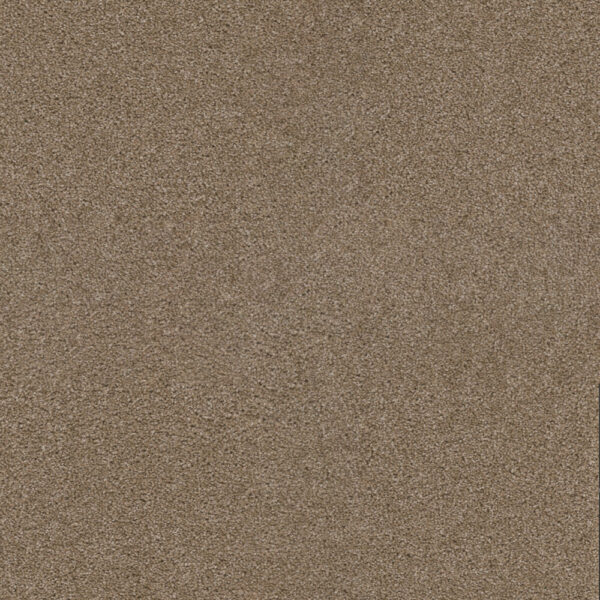 Dreamweaver Carpet Exceptional II Sawgrass Carpet 7404_701