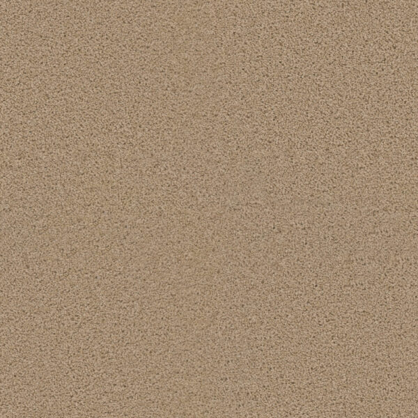 Dreamweaver Carpet Exceptional II Cookie Dough Carpet 7404_705