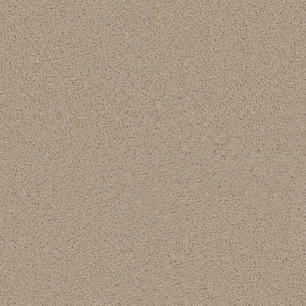 Dreamweaver Carpet Exceptional II Eggshell Carpet 7404_730