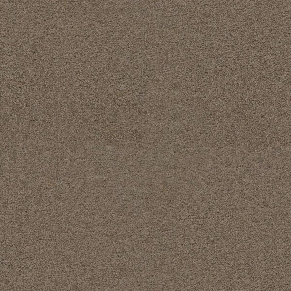 Dreamweaver Carpet Exceptional II Tigris Carpet 7404_770