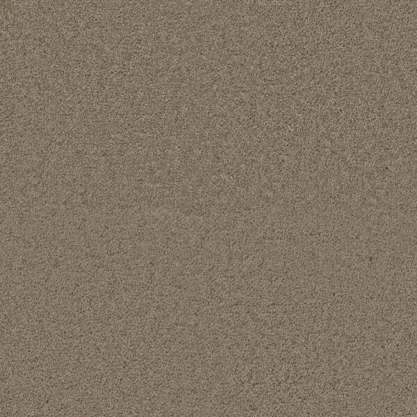 Dreamweaver Carpet Exceptional II Hazlenut Cream Carpet 7404_775