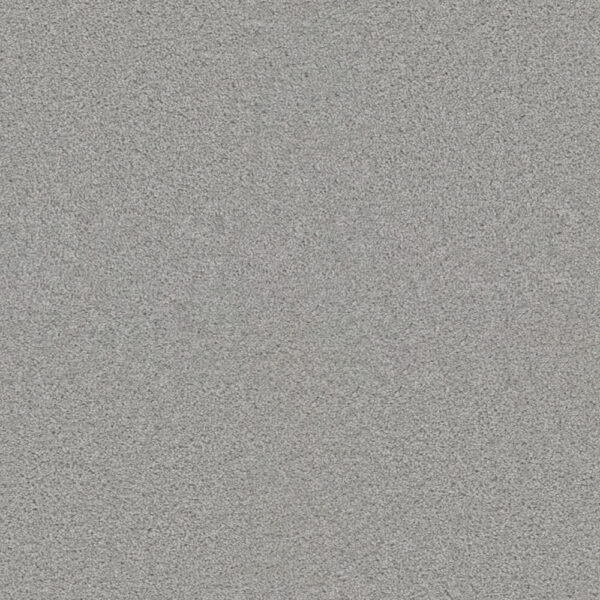 Dreamweaver Carpet Exceptional II Morning Fog Carpet 7404_813