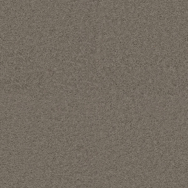 Dreamweaver Carpet Exceptional II Castle Carpet 7404_945