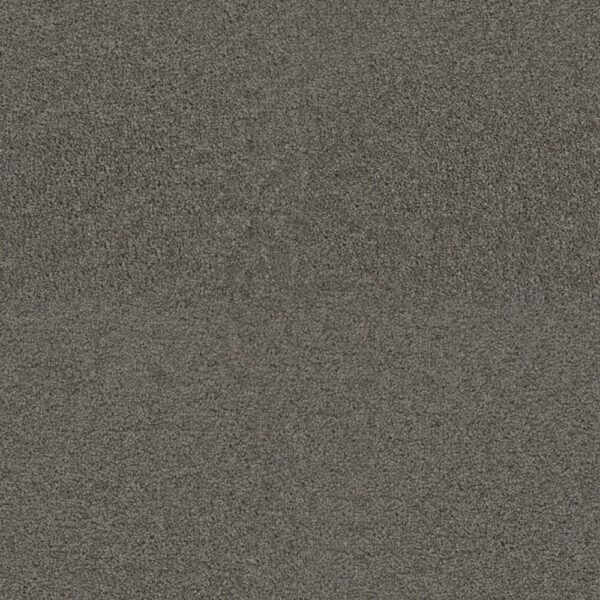 Dreamweaver Carpet Exceptional II Bayside Carpet 7404_956