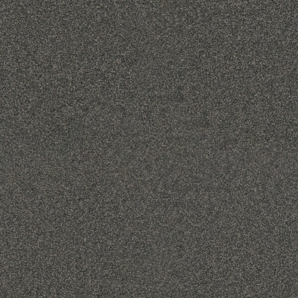 Dreamweaver Carpet Exceptional II Electron Carpet 7404_972
