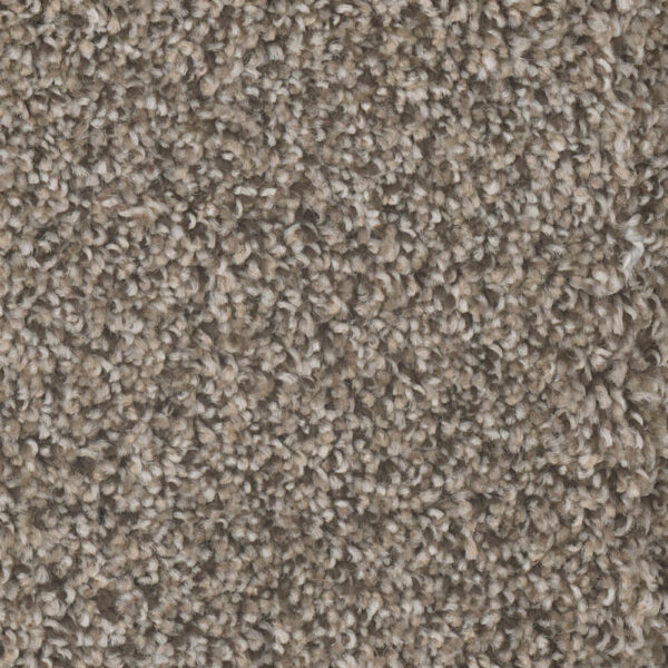 Dreamweaver Carpet Jackson Hole II Deep Thistle Carpet 7560_107