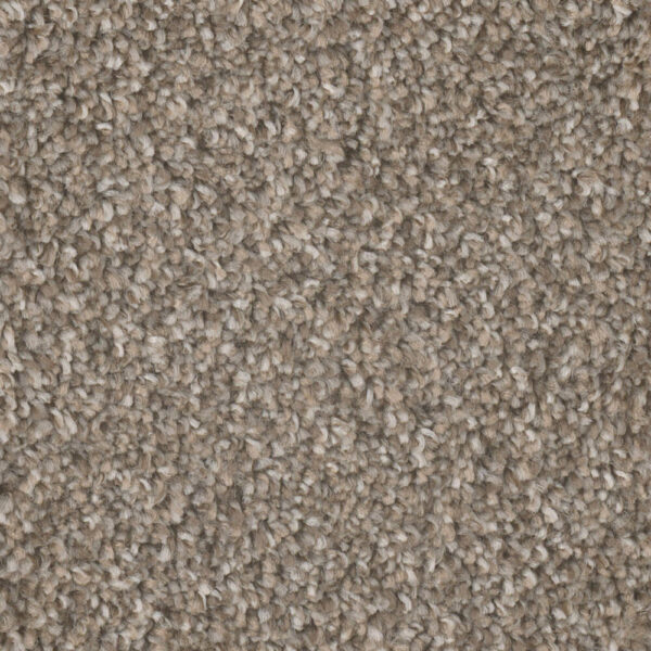 Dreamweaver Carpet Jackson Hole II Campground Carpet 7560_145