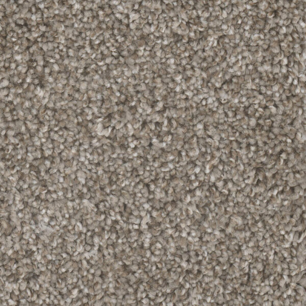 Dreamweaver Carpet Jackson Hole II Cedar Way Carpet 7560_273