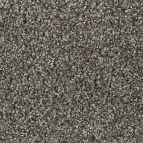 Dreamweaver Carpet Jackson Hole II Night Shade Carpet 7560_923