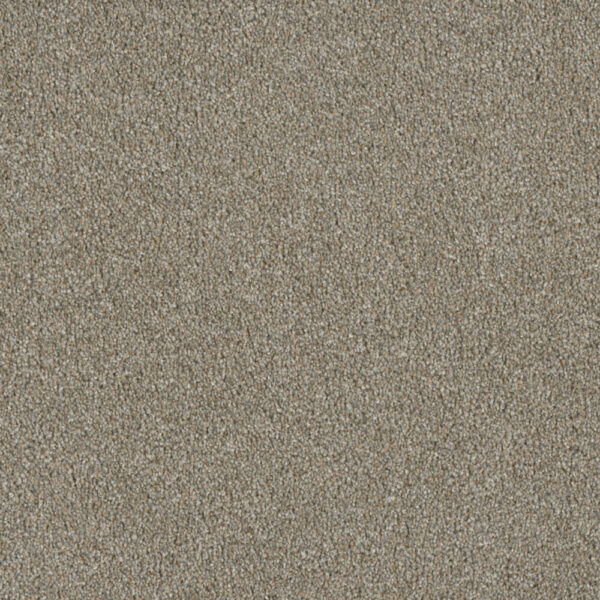 Dreamweaver Carpet Luxor II Rhinestone Carpet 7750_116